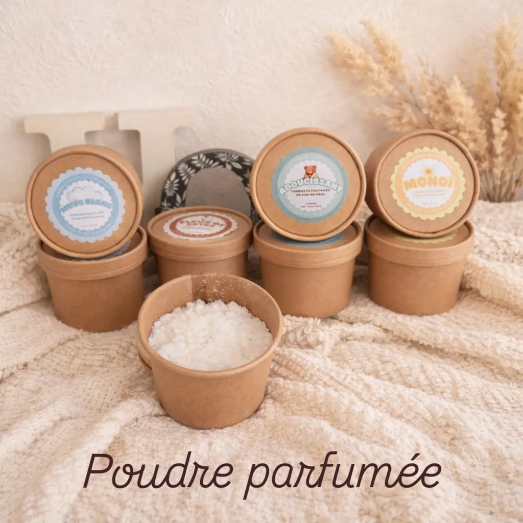 Poudre pour aspirateur